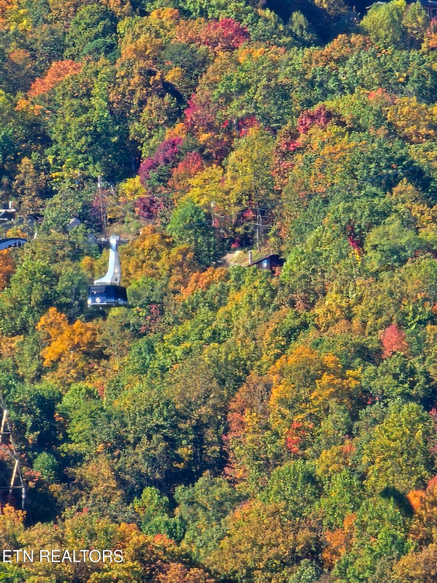 855 Campbell Lead Road, Unit 501 Gatlinburg, TN 37738 - Photo 45 of 45 2