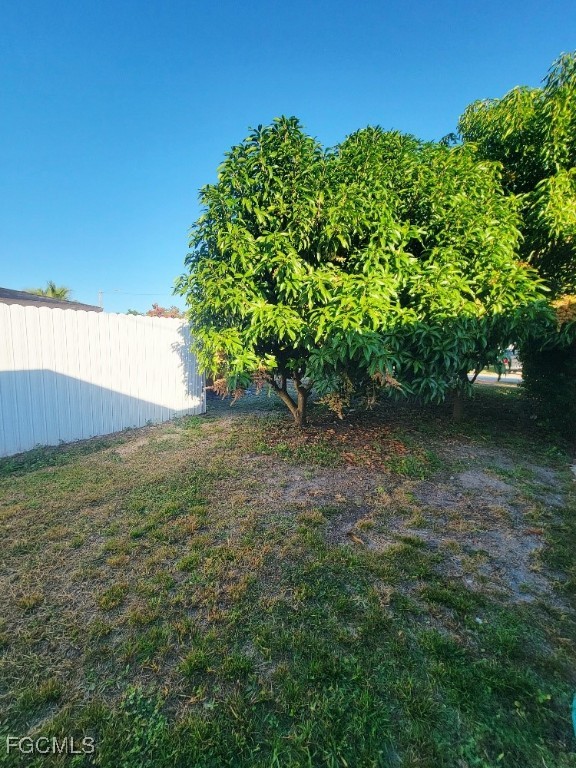 25 Maple Avenue North Lehigh Acres, FL 33936 - Photo 25 of 26 a view of a garden with a lake
