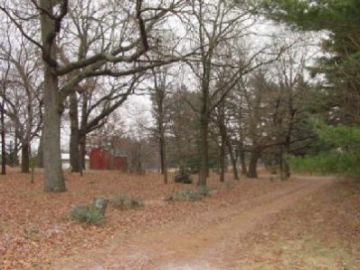 7121 West 1100th North Demotte, IN 46310 - Photo 1 of 1 a view of a forest with trees in the background