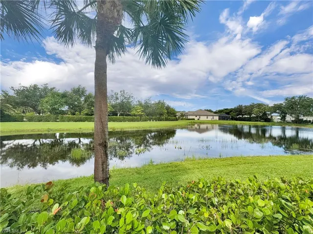a lake view with a big yard and palm trees
