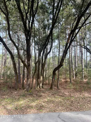 $42,500 | 237 Founders Oak Way, Yemassee, SC 29945