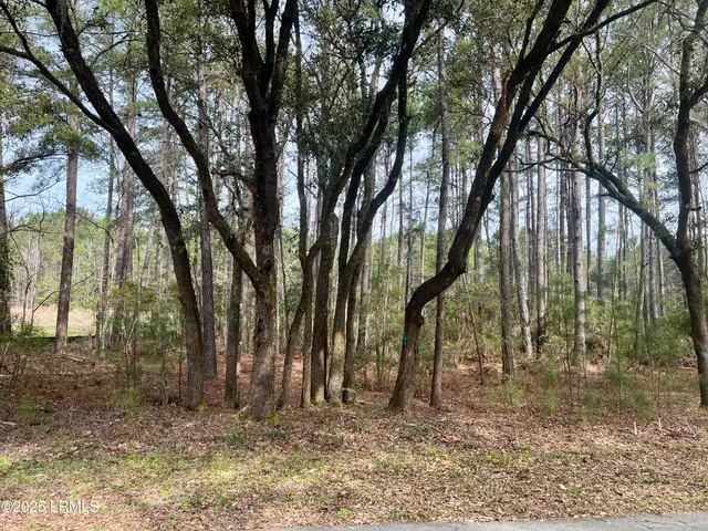 $42,500 | 237 Founders Oak Way, Yemassee, SC 29945