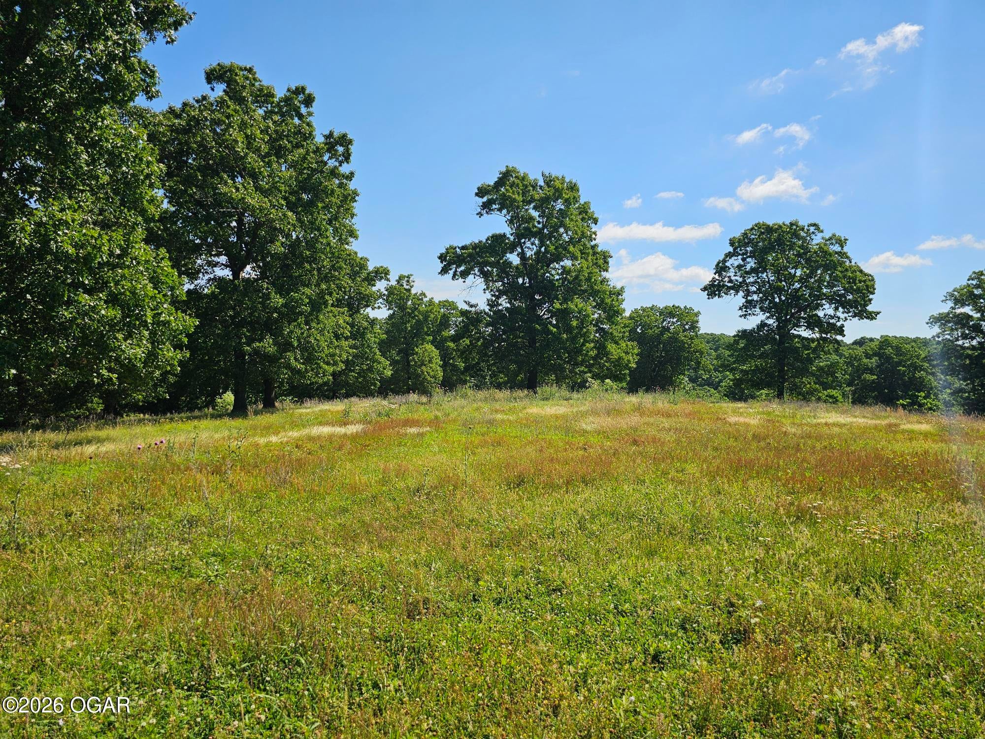 5383 Cowan Ridge Road Powell, MO 65730 - Photo 18 of 33 cowin ridge pic land 4