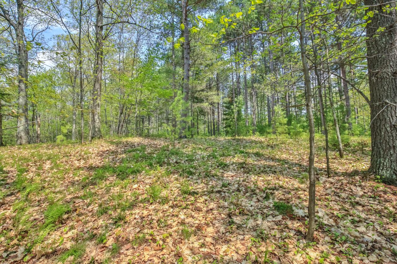 On Squirrel Lake Road, Unit LOT #3 Minocqua, WI 54548 - Photo 12 of 17 Gallery Image 12