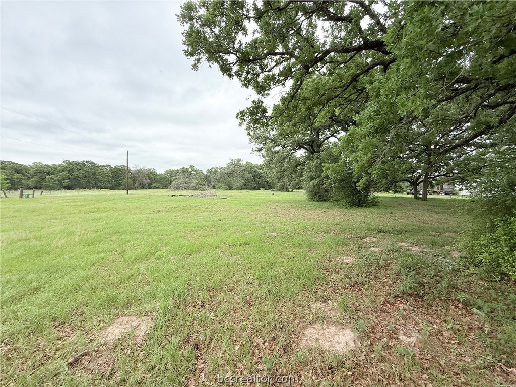 Tbd Wannabe Road Bryan, TX 77808 - Photo 16 of 25 a view of a field with an trees