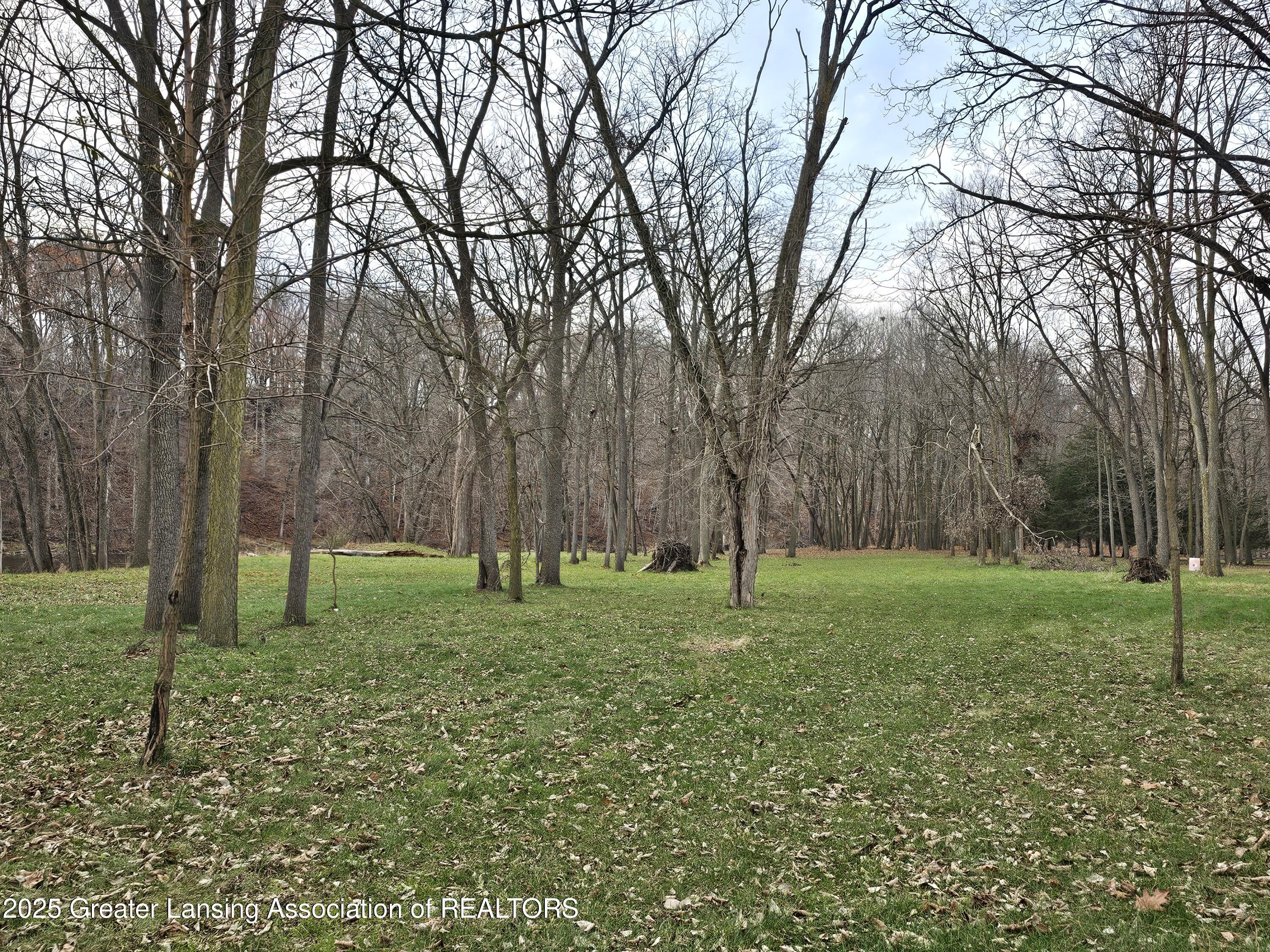 6714 Yerge Road Portland, MI 48875 - Photo 64 of 84 20241118_135540