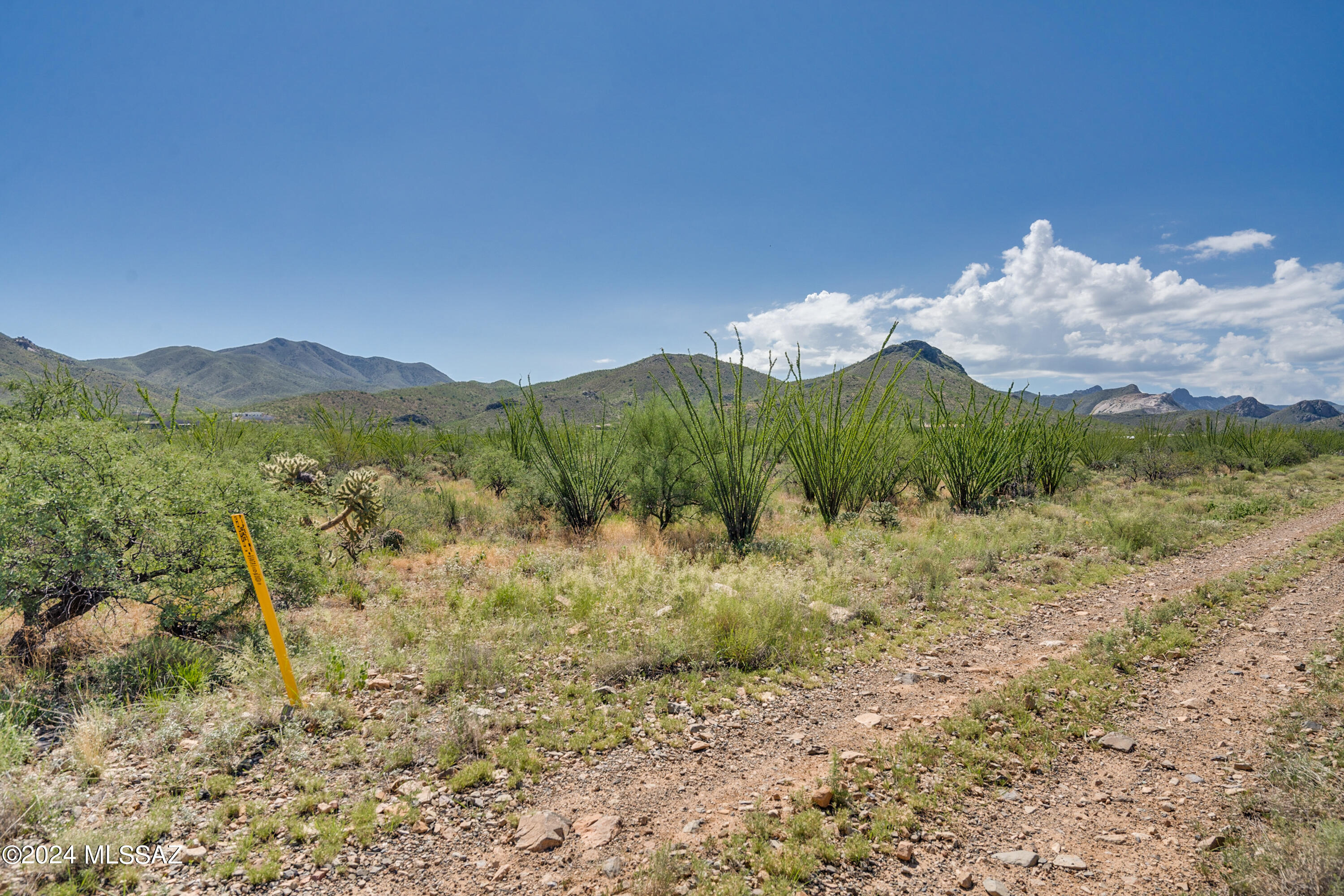 9789 East Ocotillo Rim Trail Vail, AZ 85641 - Photo 21 of 29 Ocotillo Rim Trl-3