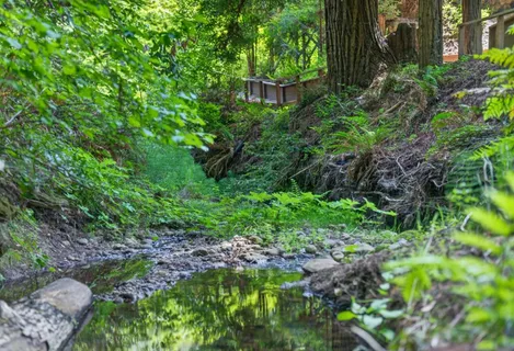 $1,700,000 | 450 Vine Hill Road, Santa Cruz, CA 95065