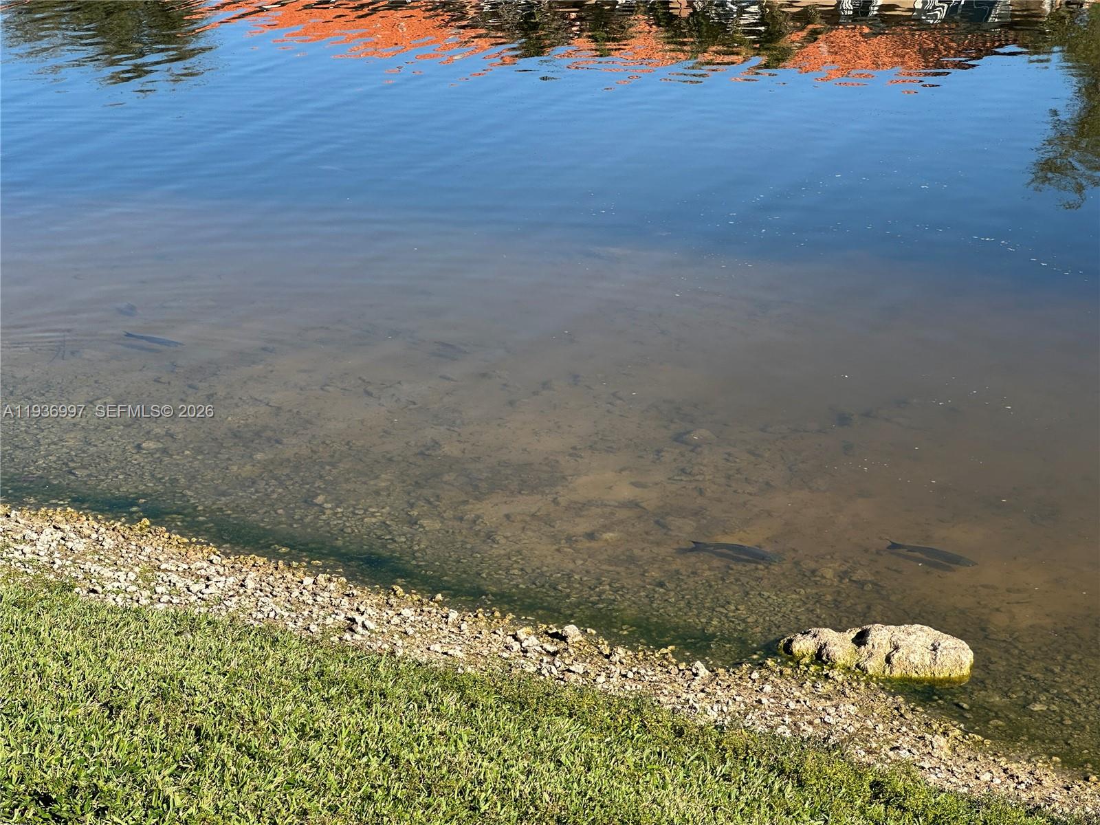 15313 Southwest 31st Terrace, Unit 15313 Miami, FL 33185 - Photo 21 of 21 a view of a small yard