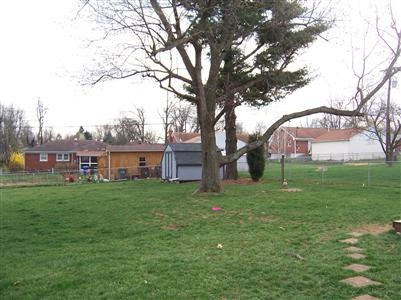 654 Hill N Dale Road Lexington, KY 40503 - Photo 3 of 23 What a back yard!