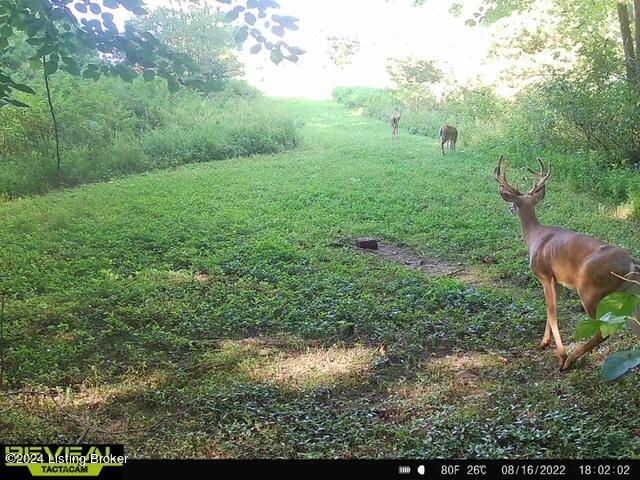 9881 Waddy Road Waddy, KY 40076 - Photo 63 of 80 IMG_1743