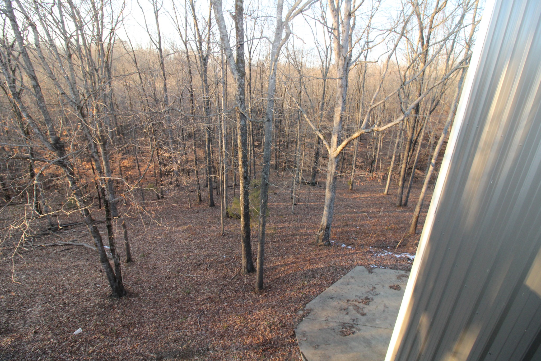 2227 Black Road Prospect, TN 38477 - Photo 37 of 39