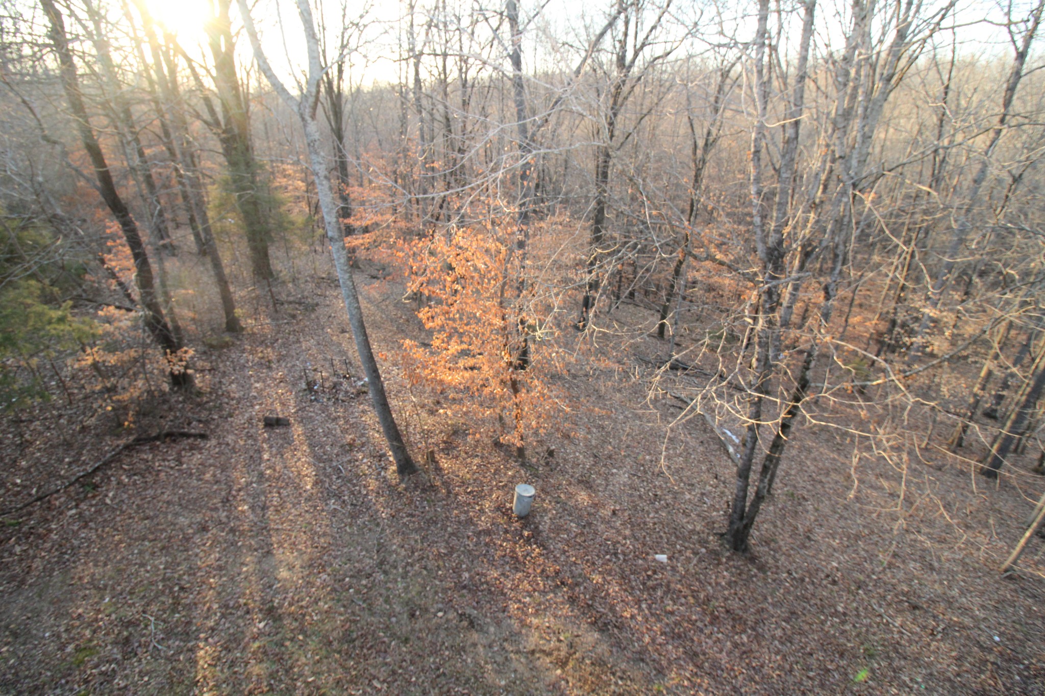 2227 Black Road Prospect, TN 38477 - Photo 38 of 39