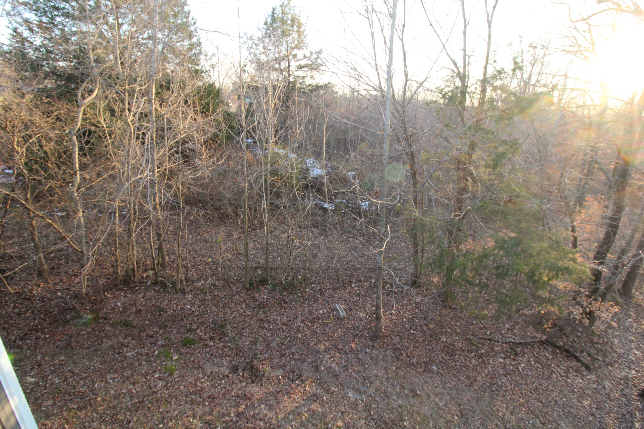 2227 Black Road Prospect, TN 38477 - Photo 39 of 39