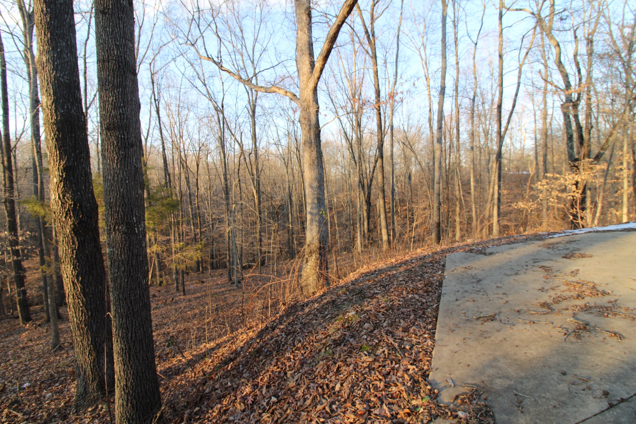 2227 Black Road Prospect, TN 38477 - Photo 7 of 39