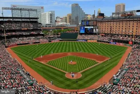 a view of a swimming pool and a back yard