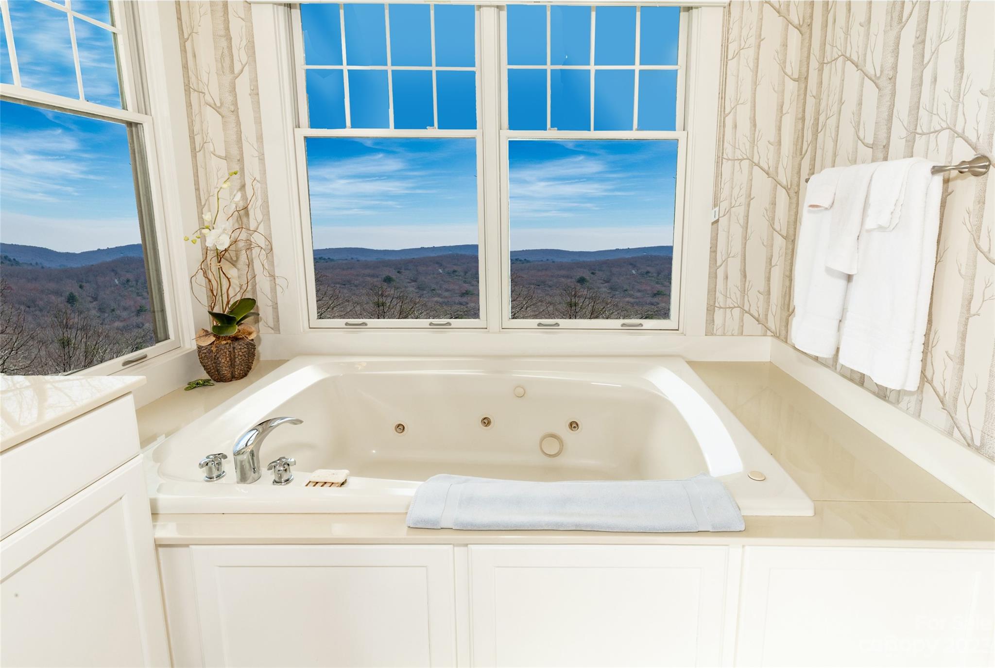 562 Panther Ridge Road, Unit 19 Lake Toxaway, NC 28747 - Photo 30 of 48 Gallery Image 30