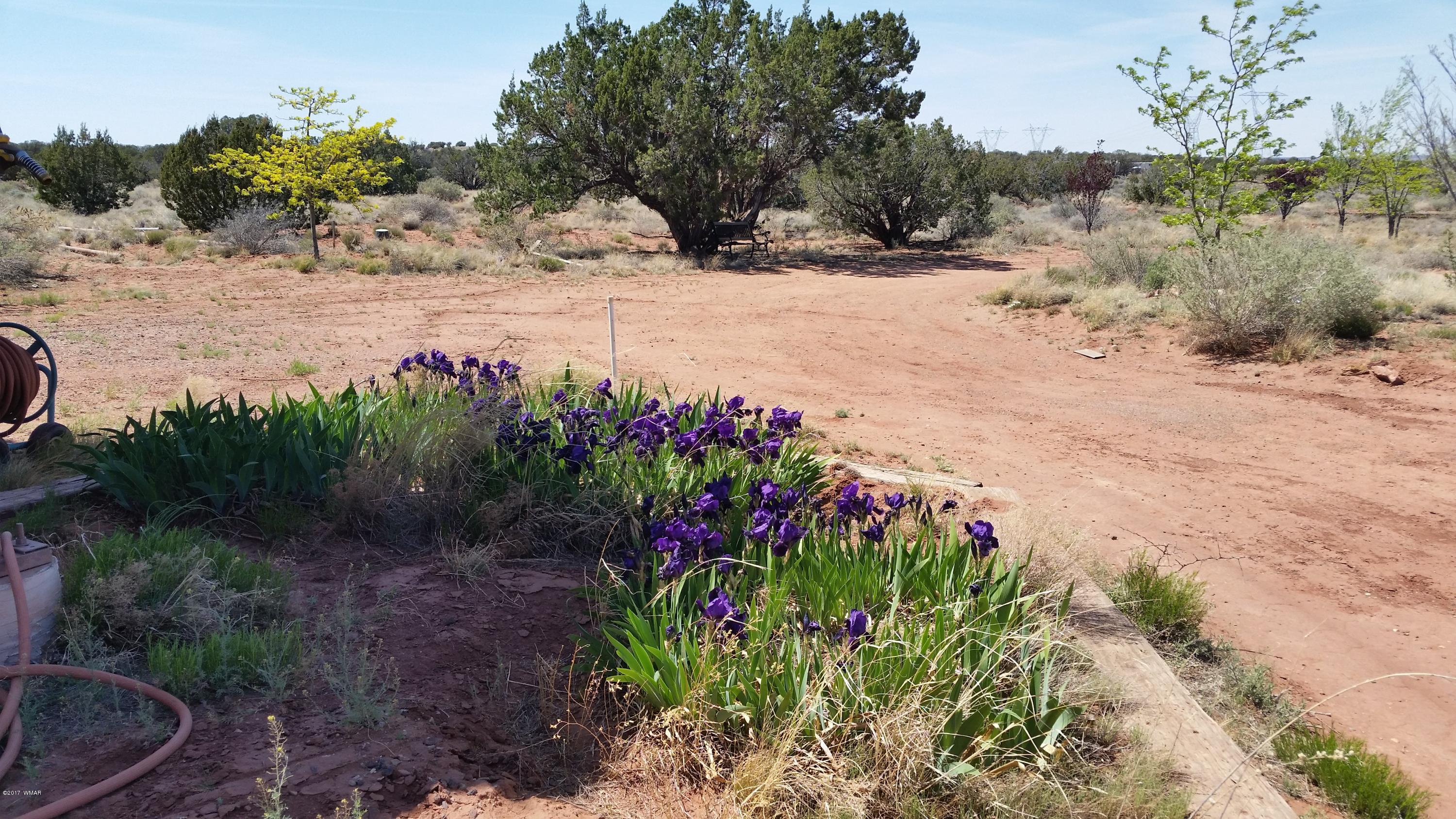 1242 Old Hunt Road, Unit 9 Concho, AZ 85924 - Photo 13 of 22