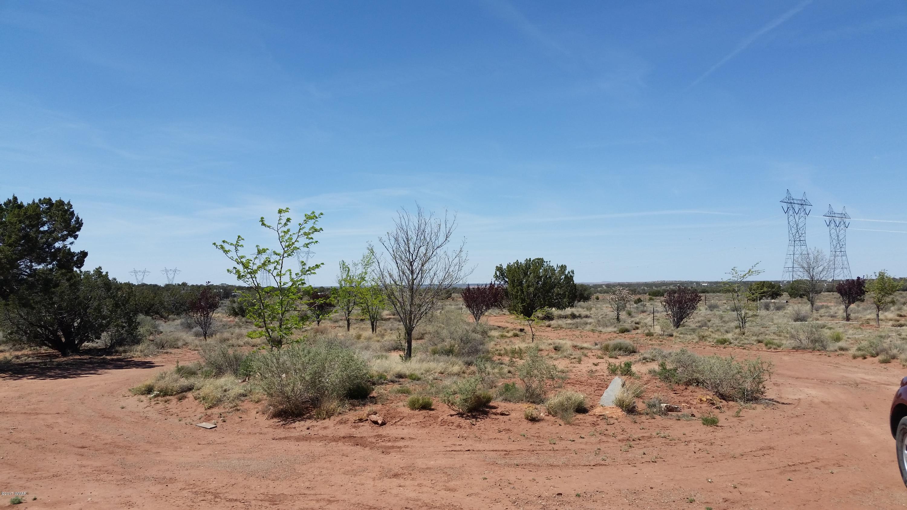 1242 Old Hunt Road, Unit 9 Concho, AZ 85924 - Photo 15 of 22