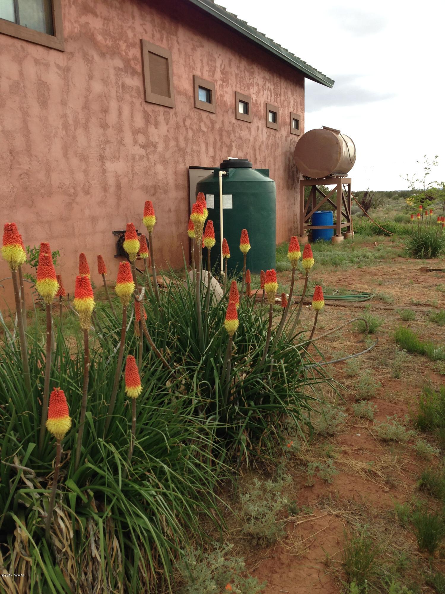 1242 Old Hunt Road, Unit 9 Concho, AZ 85924 - Photo 20 of 22