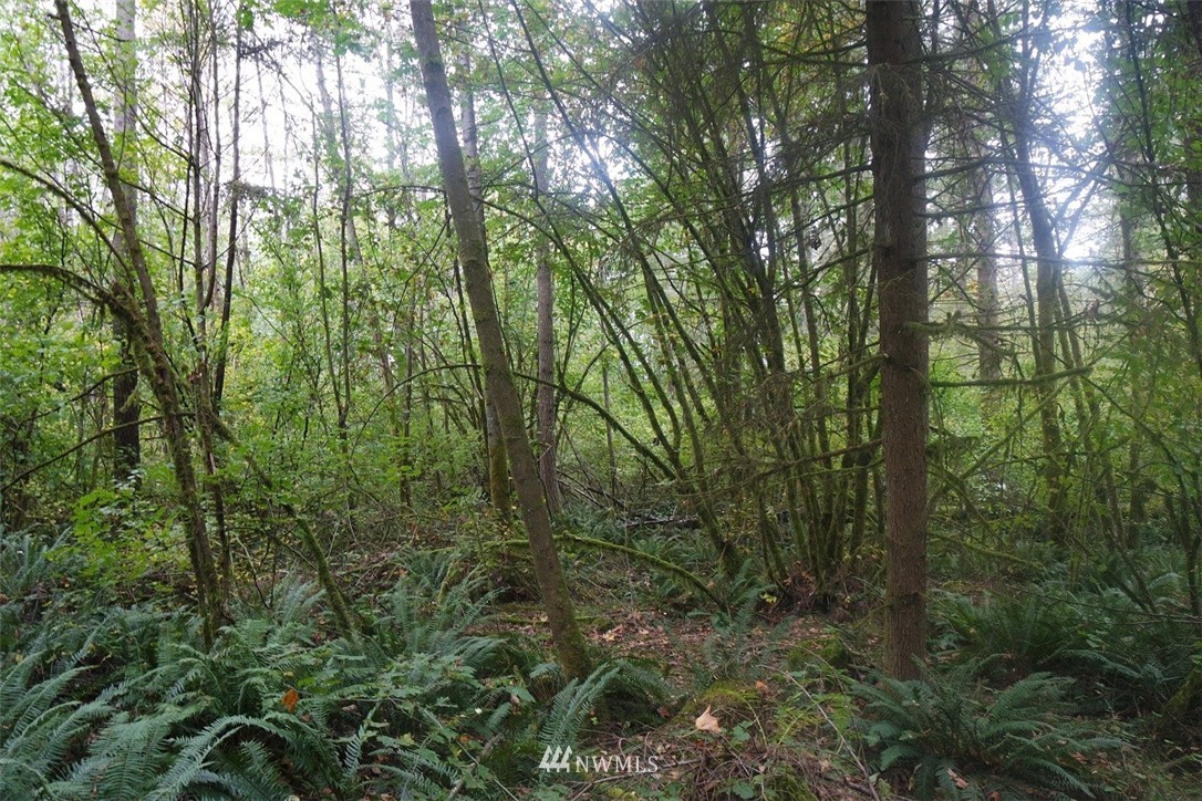 -xxx Classe Road Toledo, WA 98591 - Photo 22 of 24 Gallery Image 22