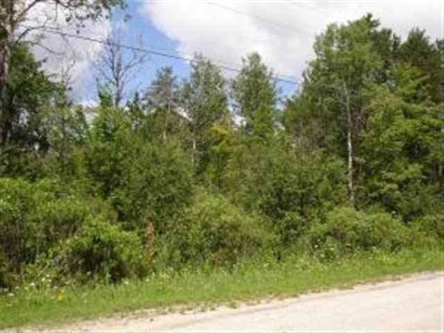 456 Geronimo Road Alpena, MI 49707 - Photo 3 of 4 31054475-2.JPG