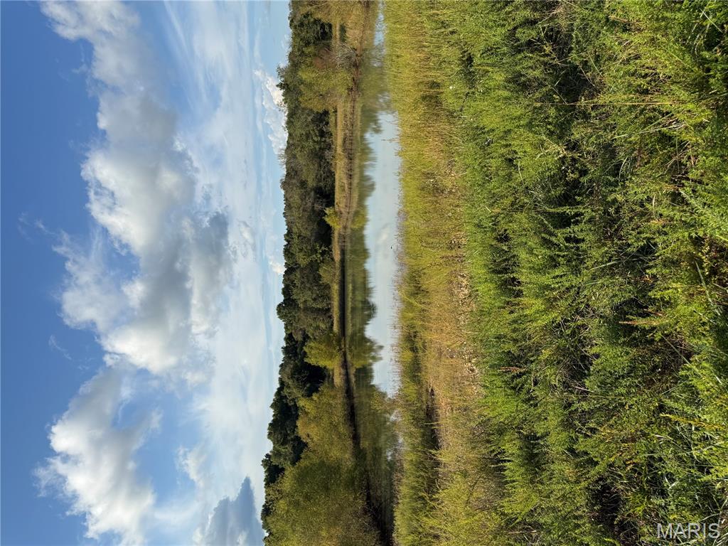 3874 State Highway Doniphan, MO 63935 - Photo 1 of 10