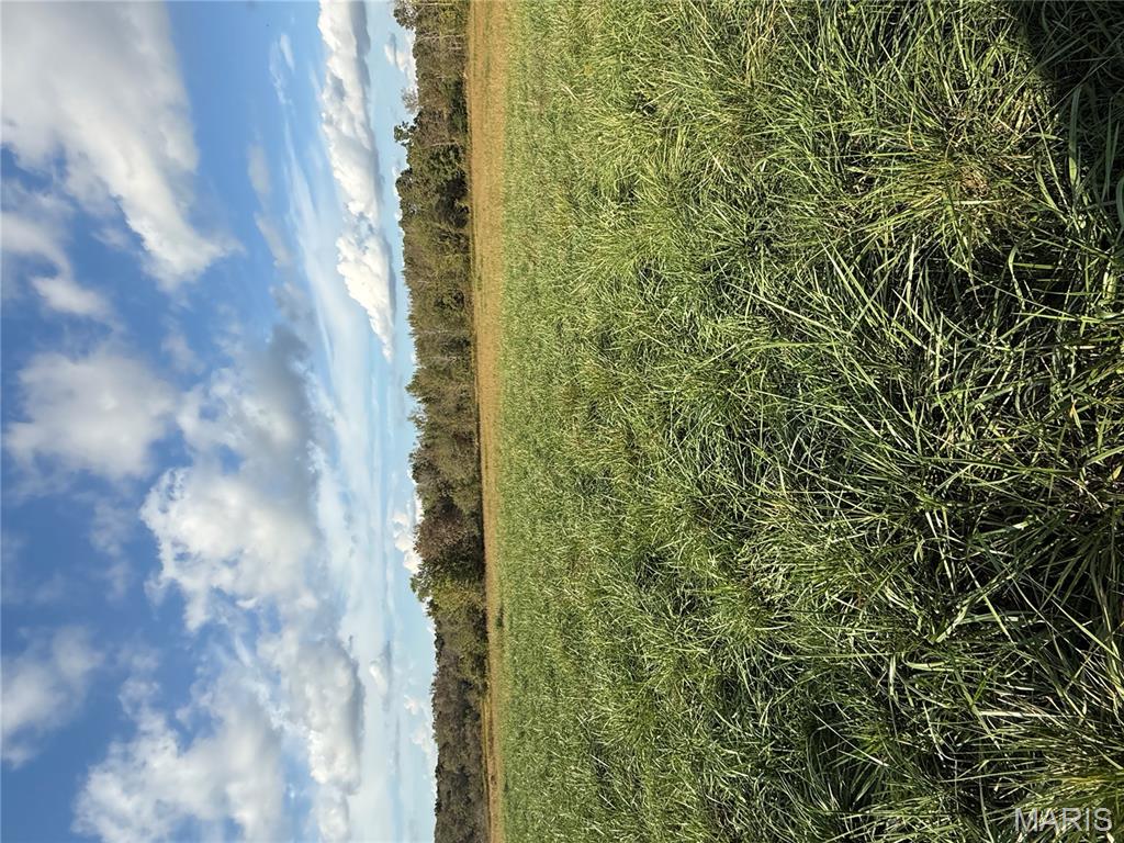 3874 State Highway Doniphan, MO 63935 - Photo 3 of 10