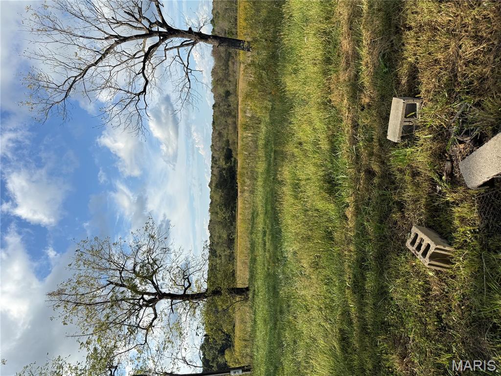 3874 State Highway Doniphan, MO 63935 - Photo 4 of 10