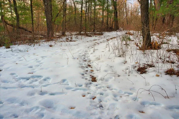 $555,000 | 0 Bush Road, Melrose, WI 54642