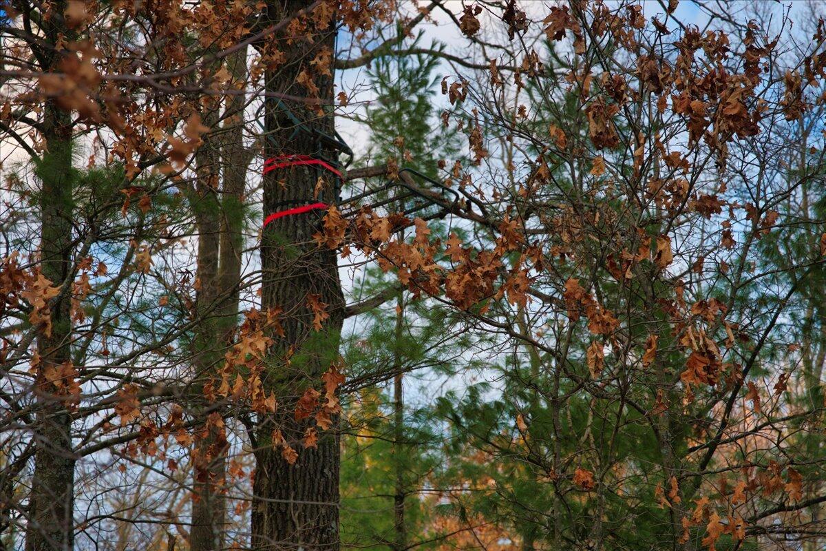 0 Bush Road Melrose, WI 54642 - Photo 20 of 50 11-MLS