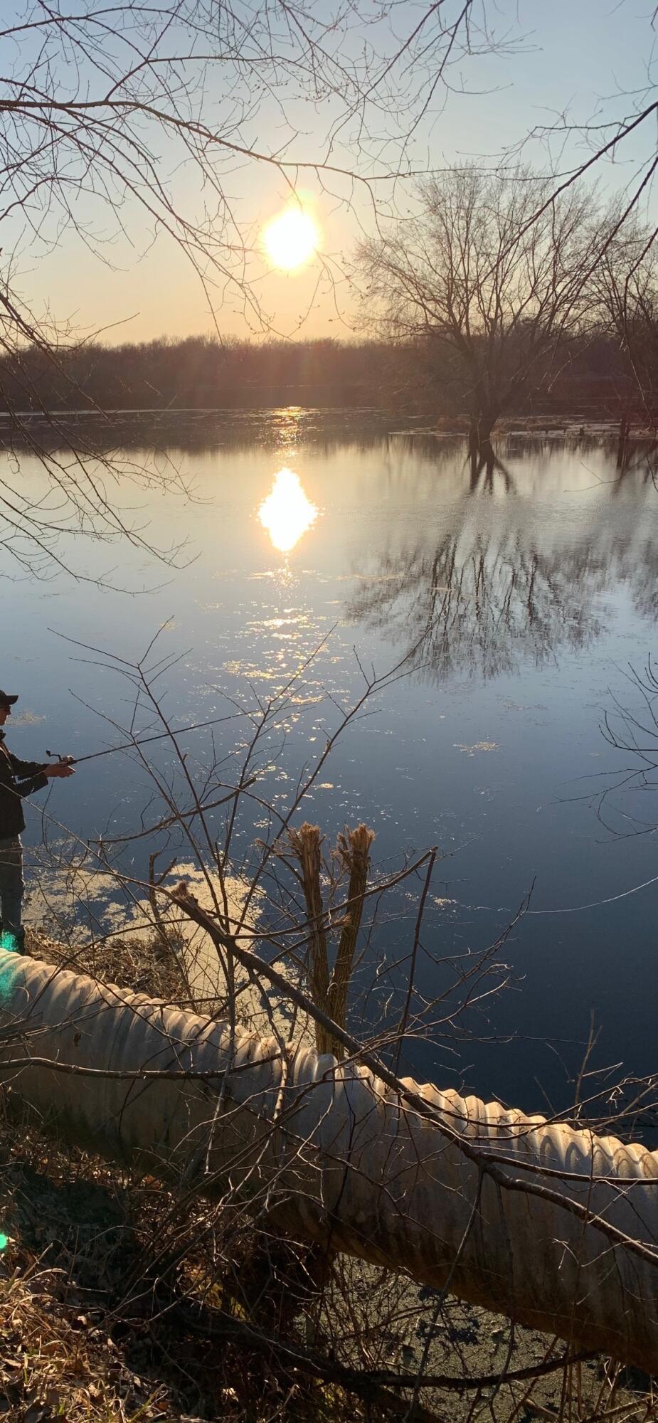 0 Bush Road Melrose, WI 54642 - Photo 23 of 50 IMG_4816