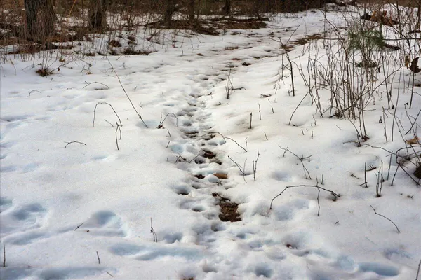 $555,000 | 0 Bush Road, Melrose, WI 54642