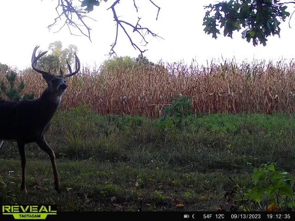 $555,000 | 0 Bush Road, Melrose, WI 54642