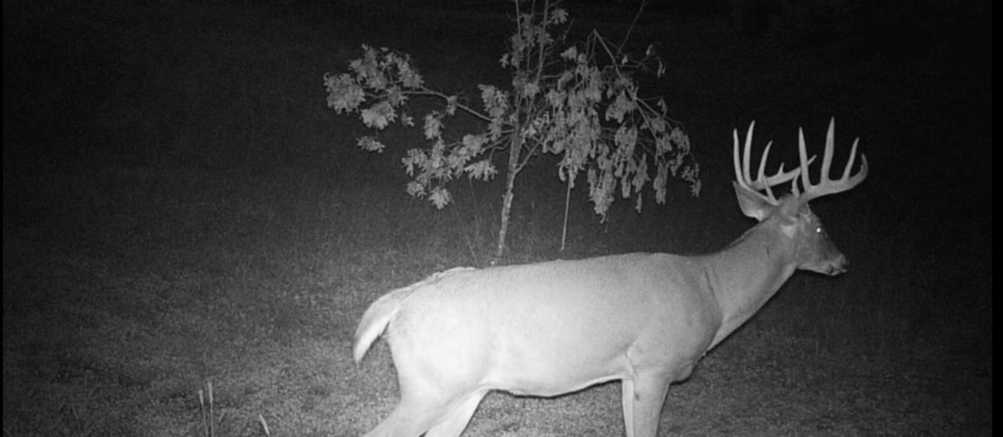 0 Bush Road Melrose, WI 54642 - Photo 3 of 50 IMG_0680