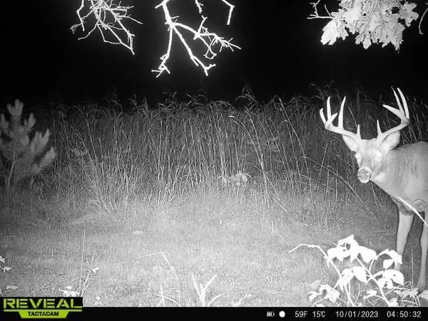 $555,000 | 0 Bush Road, Melrose, WI 54642