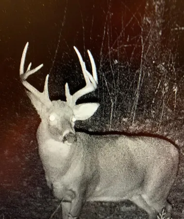 $555,000 | 0 Bush Road, Melrose, WI 54642