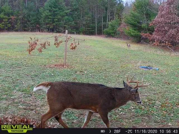 $555,000 | 0 Bush Road, Melrose, WI 54642