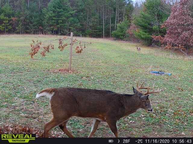 0 Bush Road Melrose, WI 54642 - Photo 41 of 50 863900043718169-60-4-11162020105642-W100