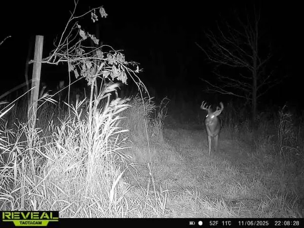 $555,000 | 0 Bush Road, Melrose, WI 54642