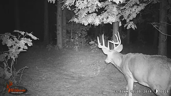 $555,000 | 0 Bush Road, Melrose, WI 54642