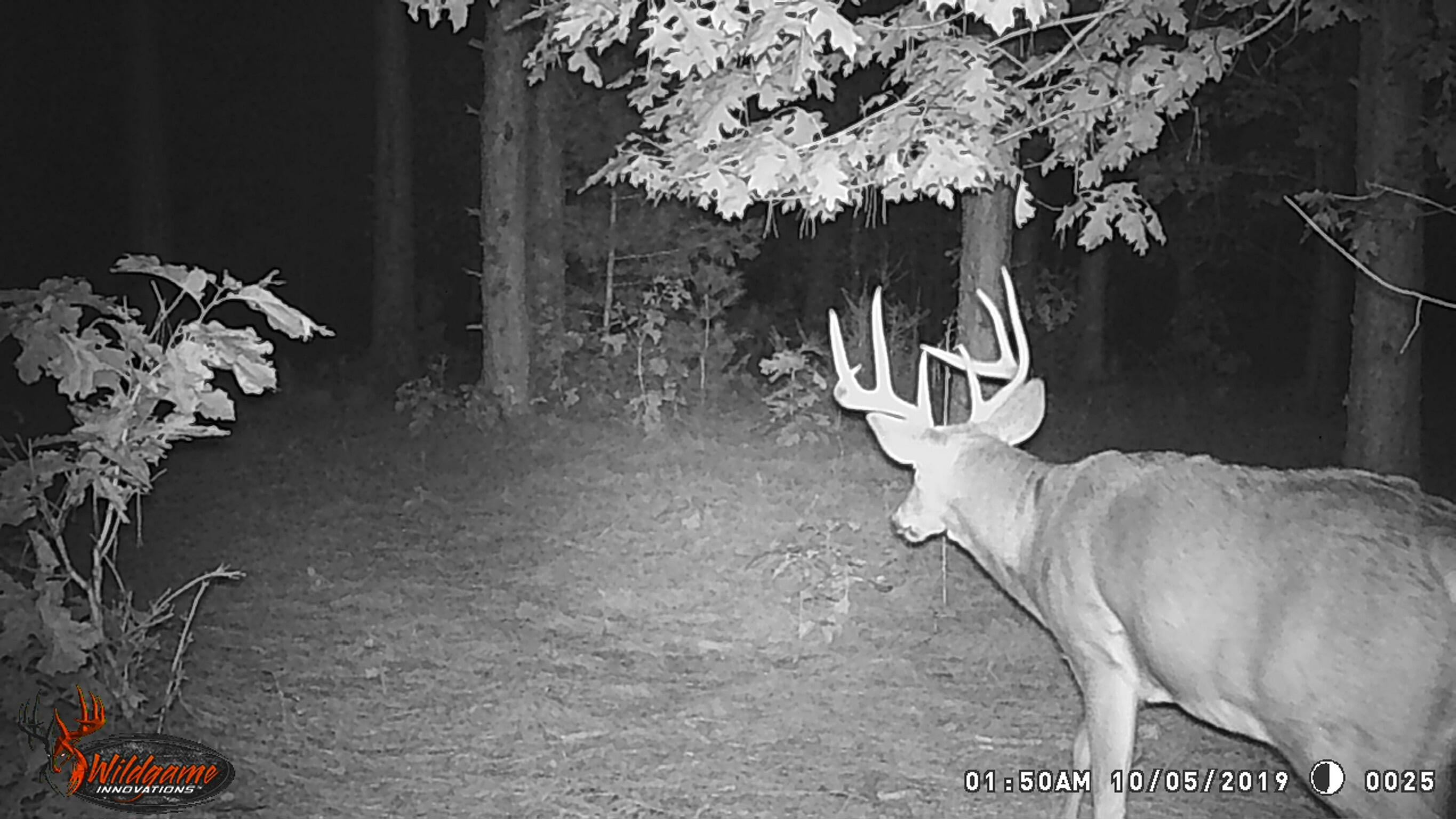 0 Bush Road Melrose, WI 54642 - Photo 44 of 50 IMG_1224