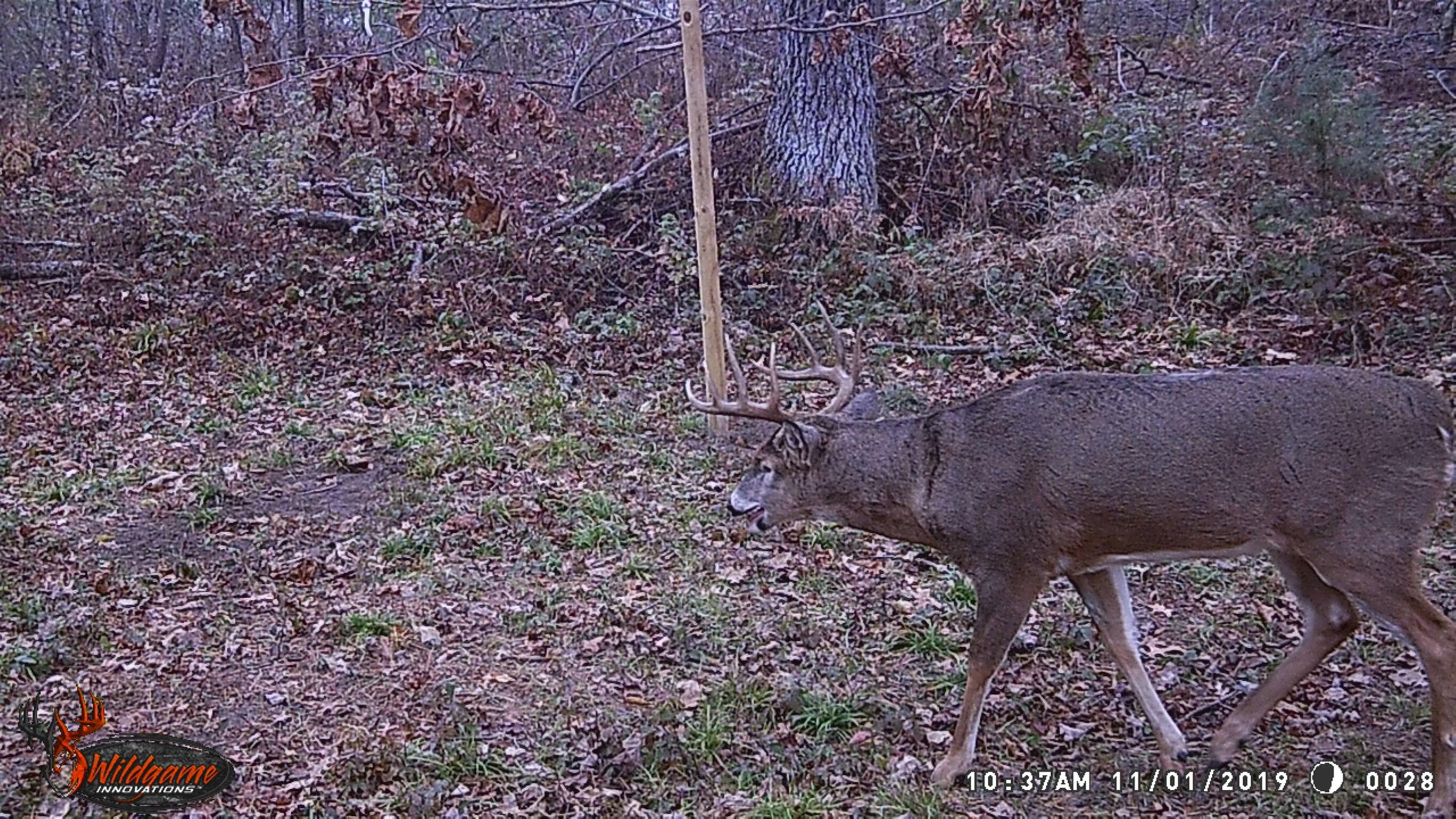 0 Bush Road Melrose, WI 54642 - Photo 45 of 50 IMG_1239