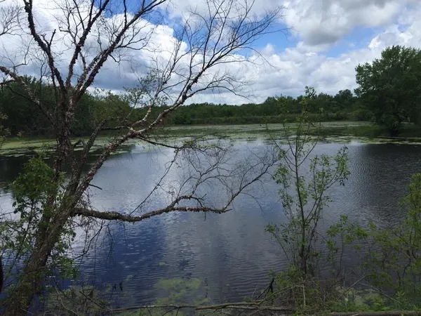 $555,000 | 0 Bush Road, Melrose, WI 54642