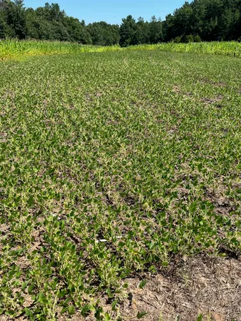 $555,000 | 0 Bush Road, Melrose, WI 54642