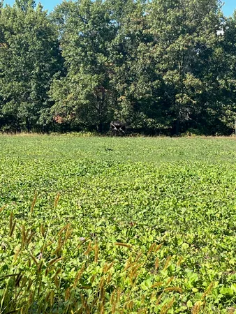 $555,000 | 0 Bush Road, Melrose, WI 54642