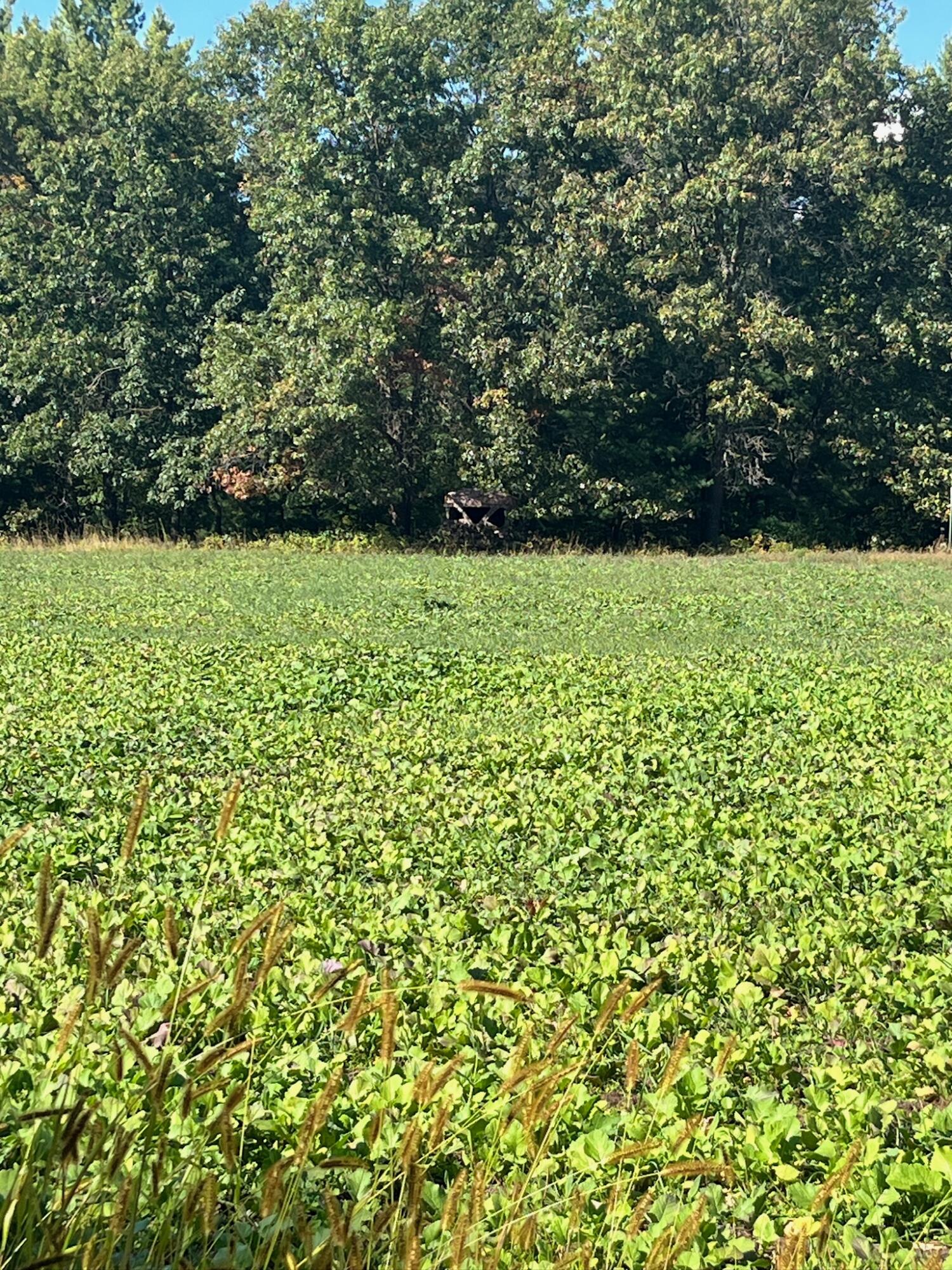 0 Bush Road Melrose, WI 54642 - Photo 48 of 50 IMG_3587