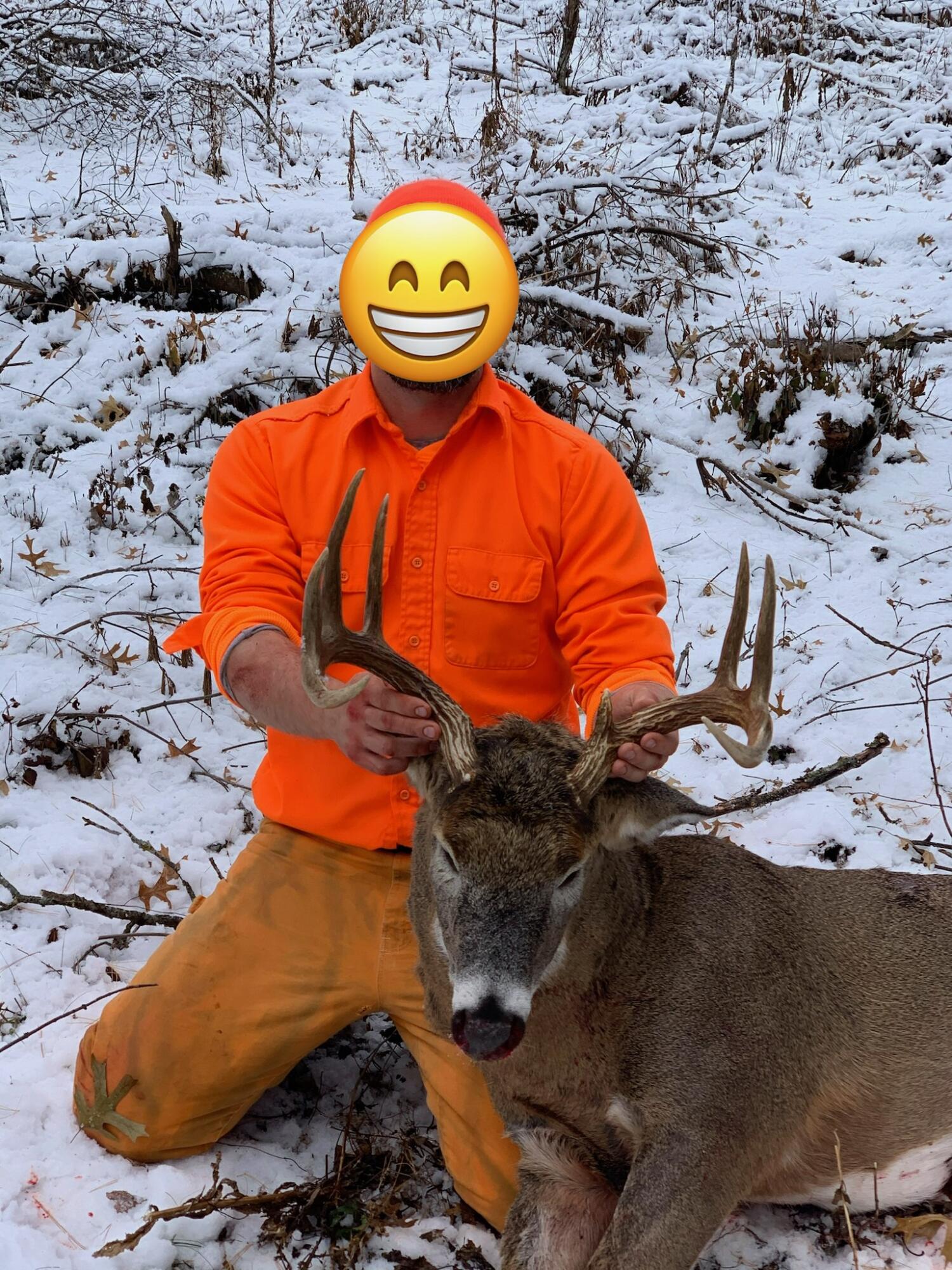 0 Bush Road Melrose, WI 54642 - Photo 50 of 50 IMG_1275