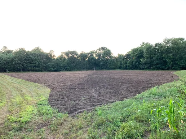 $555,000 | 0 Bush Road, Melrose, WI 54642