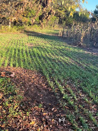 $555,000 | 0 Bush Road, Melrose, WI 54642